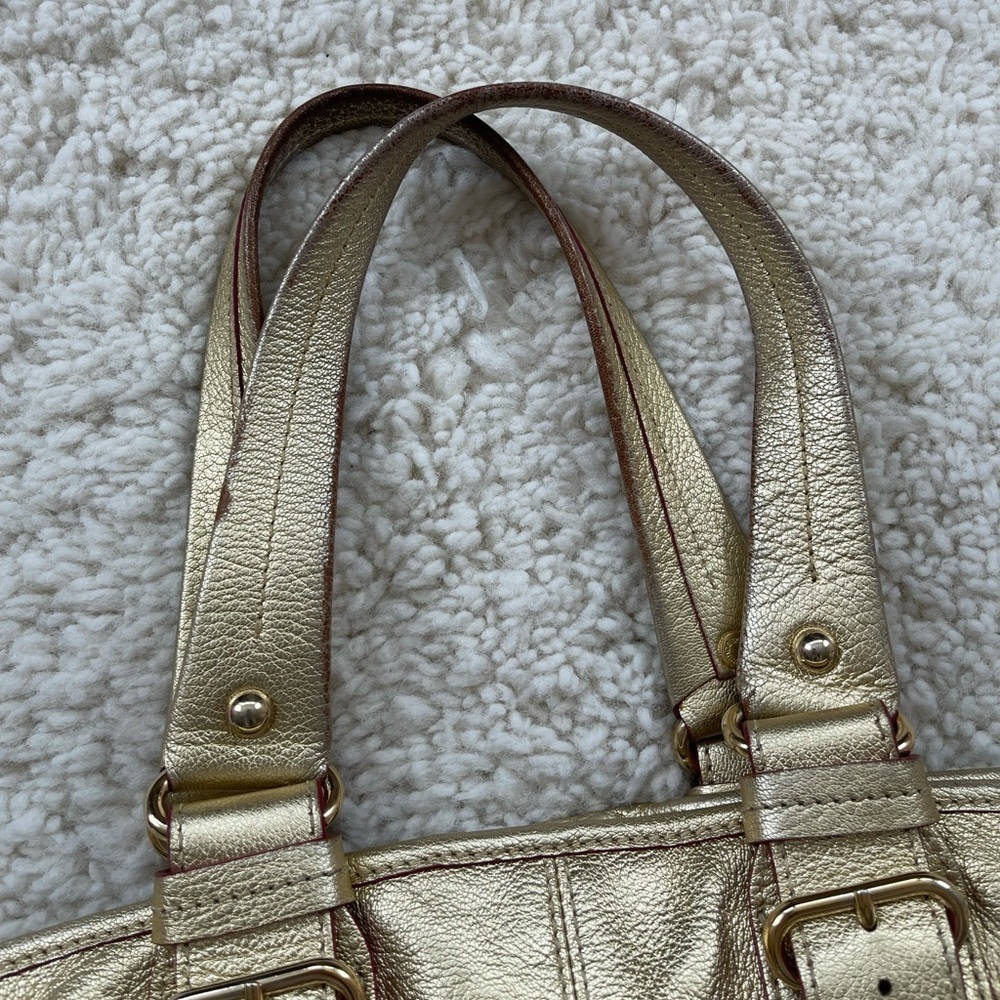 Dooney and Bourke “Chiara” Large Gold Tote - Picture 6 of 11